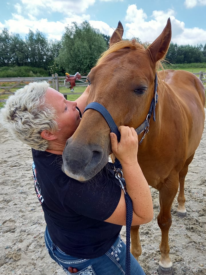 Interview met Veerle Vanden Berghe - Equine Bodywork & The Western Barn